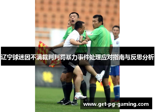 辽宁球迷因不满裁判判罚暴力事件处理应对指南与反思分析 辽宁球迷因不满裁判判罚暴力事件处理应对指南与反思分析