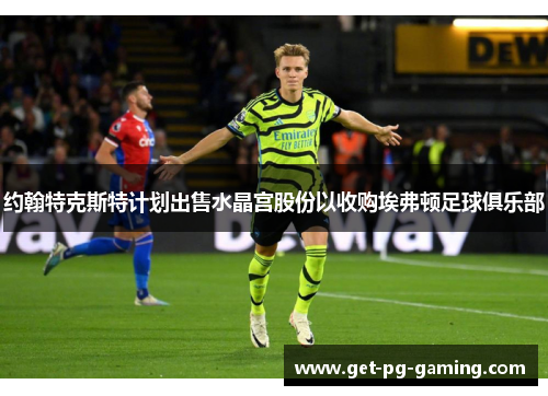 约翰特克斯特计划出售水晶宫股份以收购埃弗顿足球俱乐部